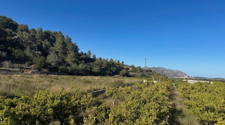 Alicante - Orba - 13615m2