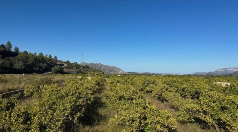 Alicante - Orba - 13615m2