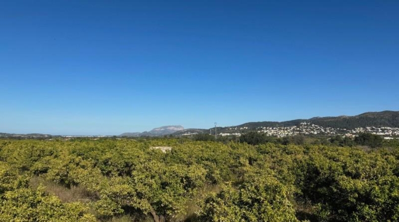 Alicante - Orba - 13615m2