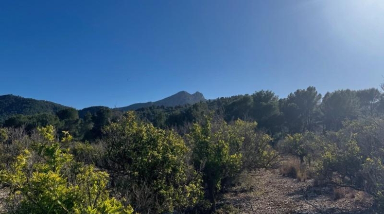 Alicante - Orba - 13615m2