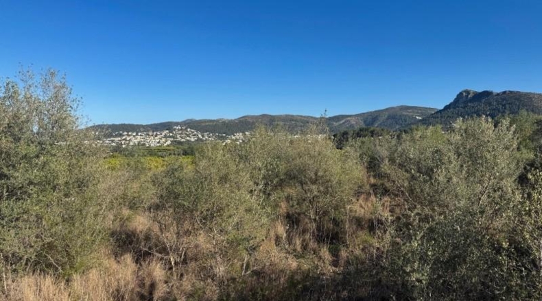 Alicante - Orba - 13615m2