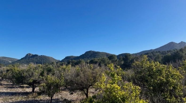 Alicante - Orba - 13615m2