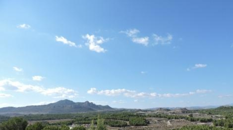 Alicante - Sax - 254m2