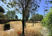 Chalet independiente con terreno en venta en la España, Traspinedo, ref: TR412928 foto