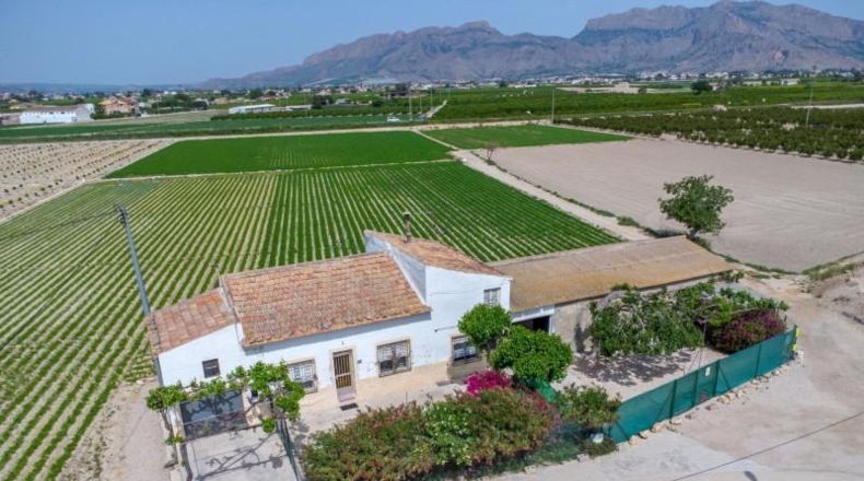 Alicante - Orihuela - 12689m2