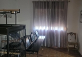 Country house with land for sale on España, Almodóvar del Río, ref: TR413188 photo