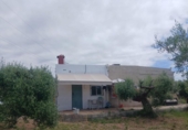 Chalet independiente con terreno en venta en la España, Benicarló, ref: TR413189 foto