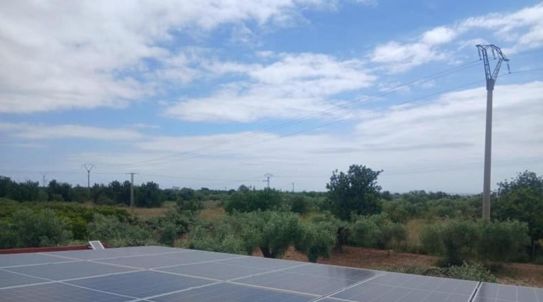 Castellón - Benicarló - 7000m2