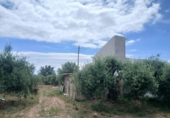 Chalet independiente con terreno en venta en la España, Benicarló, ref: TR413189 foto
