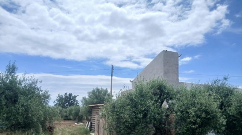 Castellón - Benicarló - 7000m2
