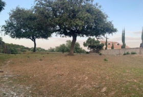 Còrdova 3143&nbsp;m² 