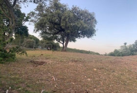 Còrdova 3143&nbsp;m² 