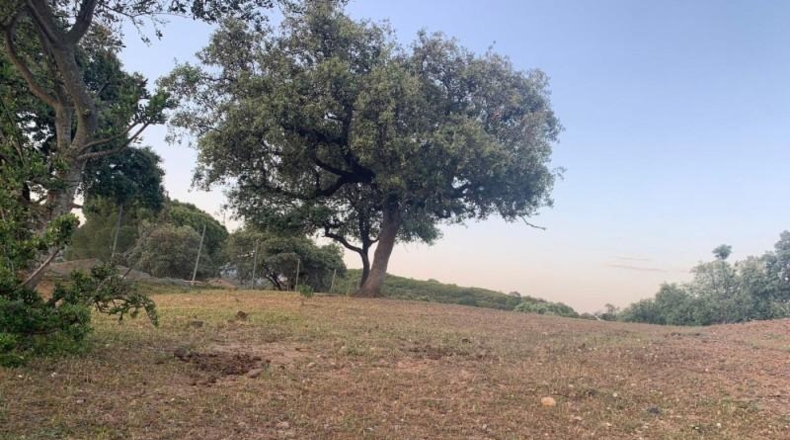 Córdoba - Córdoba - 3143m2