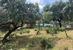 Còrdova 3143&nbsp;m² 
