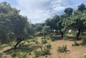 Còrdova 3143&nbsp;m² 