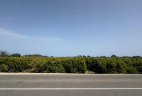 Dénia 12894&nbsp;m² 