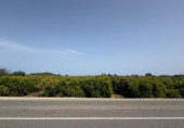 Terreny no urbanitzable en venda a la España, Dénia, ref.: TR413198 foto