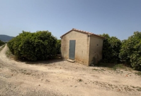 Dénia 12894&nbsp;m² 