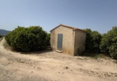 Terreny no urbanitzable en venda a la España, Dénia, ref.: TR413198 foto