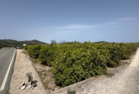 Dénia 12894&nbsp;m² 