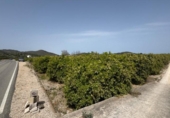 Terreny no urbanitzable en venda a la España, Dénia, ref.: TR413198 foto