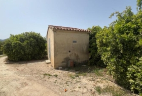 Dénia 12894&nbsp;m² 