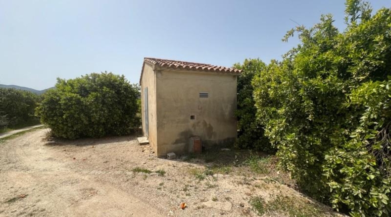 Alicante - Dénia - 12894m2