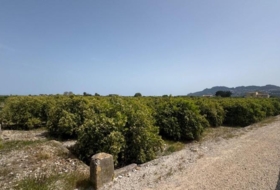 Dénia 12894&nbsp;m² 