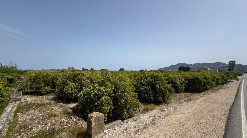 Alicante - Dénia - 12894m2