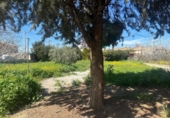 Land suitable for development for sale on España, Ogíjares, ref: TR410082 photo