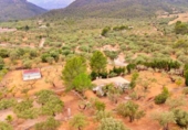 Detached villa with land for sale on España, Tortosa, ref: TR328755 photo
