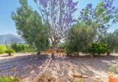 Casa de campo con terreno en venta en la España, Abarán, ref: TR413202 foto