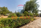 Chalet independiente con terreno en venta en la España, Trigueros del Valle, ref: TR326313 foto