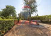 Chalet independiente con terreno en venta en la España, Trigueros del Valle, ref: TR326313 foto