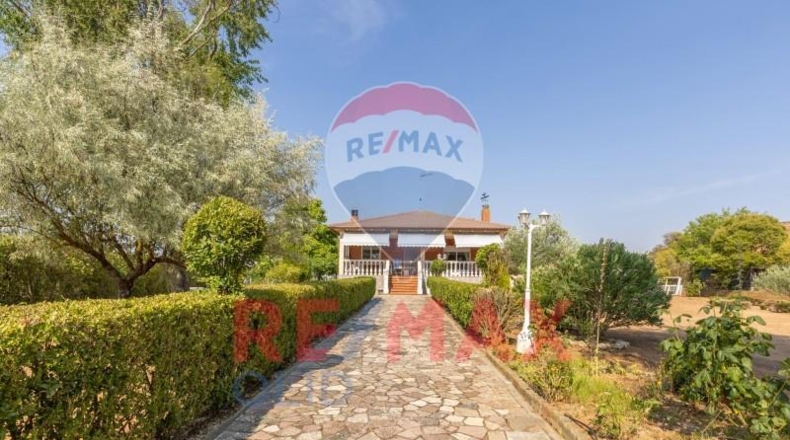 Valladolid - Trigueros del Valle - 2484m2