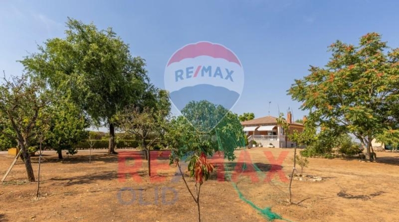 Valladolid - Trigueros del Valle - 2484m2