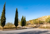 Land suitable for development for sale on España, Alfacar, ref: TR413205 photo
