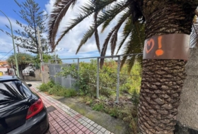 Las Palmas de Gran Canaria 345&nbsp;m²