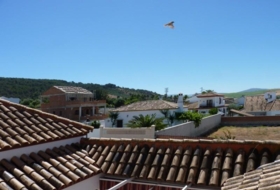 Montellano 569&nbsp;m²