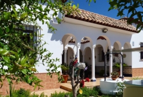 Montellano 569&nbsp;m²