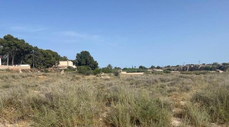 Alicante - Mutxamel - 5000m2