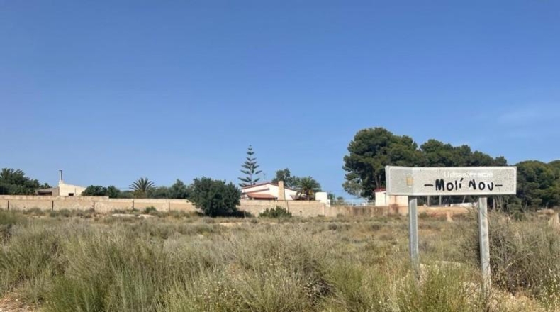 Alicante - Mutxamel - 5000m2