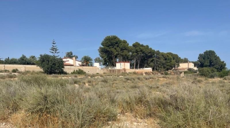 Alicante - Mutxamel - 5000m2
