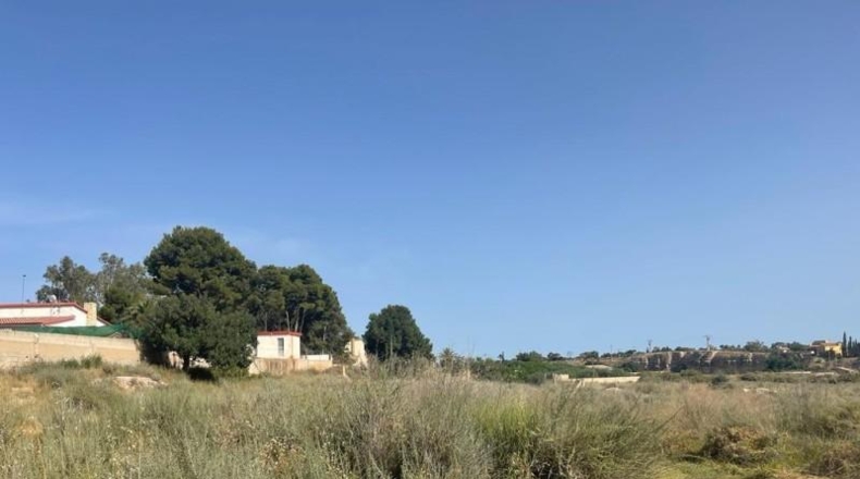 Alicante - Mutxamel - 5000m2