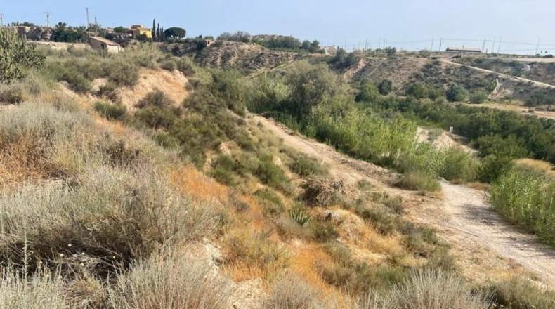 Alicante - Mutxamel - 5000m2