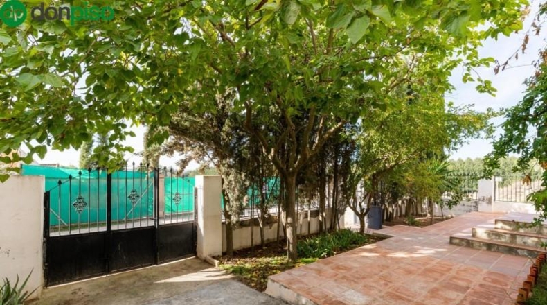 Granada - Láchar - 1210m2