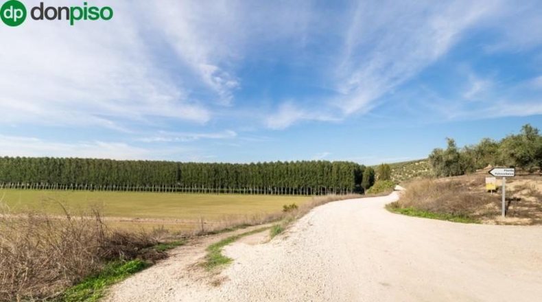 Granada - Láchar - 1210m2