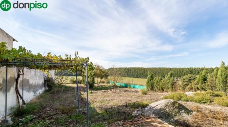 Granada - Láchar - 1210m2