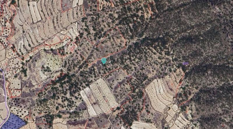 Alicante - Monóvar - 189880m2