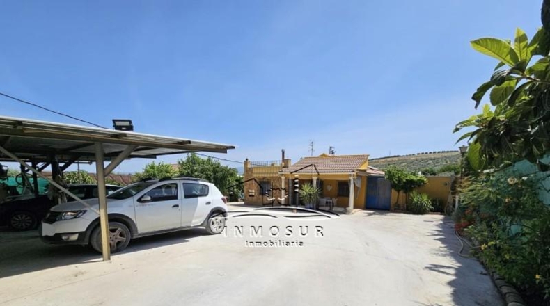 Córdoba - Lucena - 1270m2